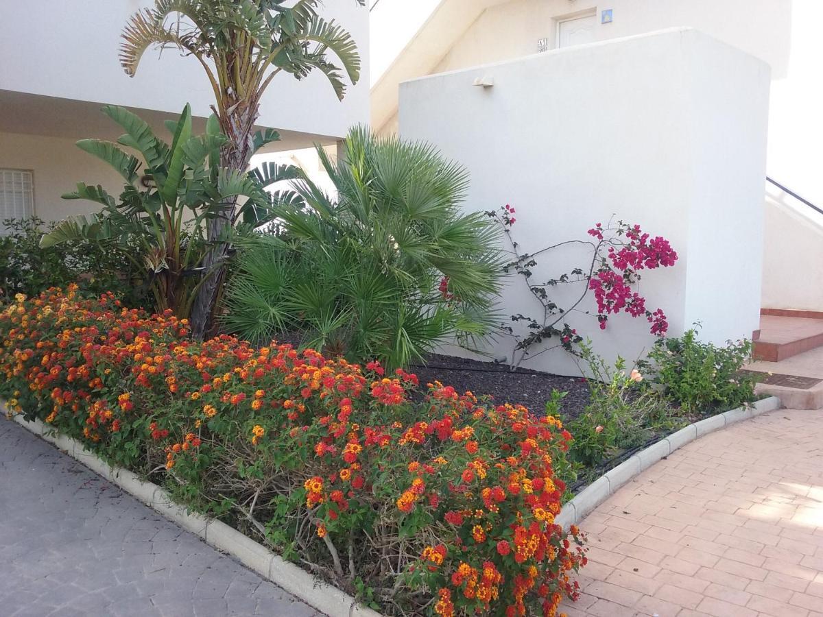 Apartamento Junto Al Mar En La Costa De Almeria El Pozo del Esparto 外观 照片